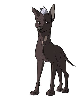 Xolo